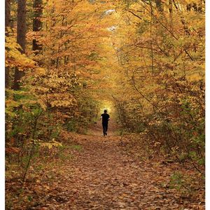 养娃VS丁克，怎么选？