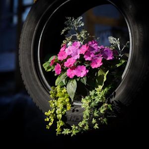 王婆卖瓜之培养“小厨”心得体会