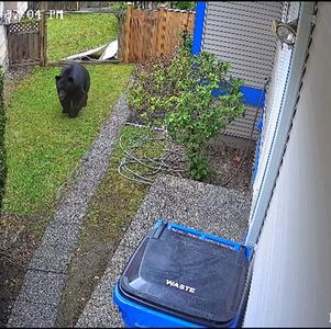 和邻居关系“破冰”给我的触动