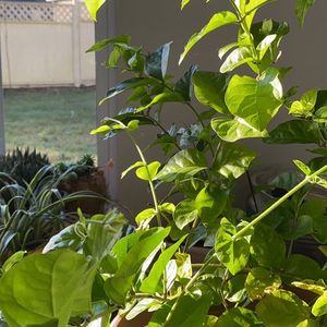 家长应该怎么教育，孩子长大才能“不吃亏”？