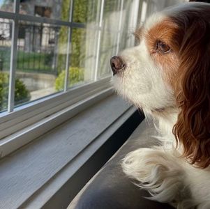 陌生人之间的关爱：那些温馨的小故事