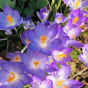 来加拿大留学，选择什么专业合适？