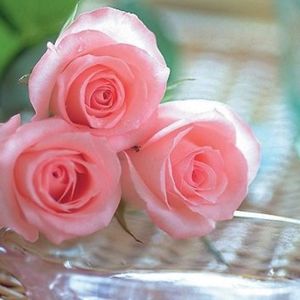 北美社交礼貌中容易忽视的几点