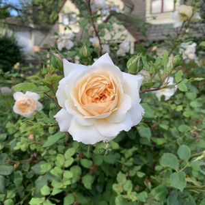 想当年，我爸妈是如何面对我逃课、逃学、逃作业的