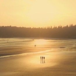 老友的“老问题”：公校私校，移不移，衣锦还乡还是落地生根