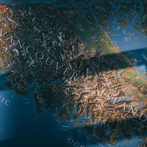 2021，北美的亲们需要更坚毅