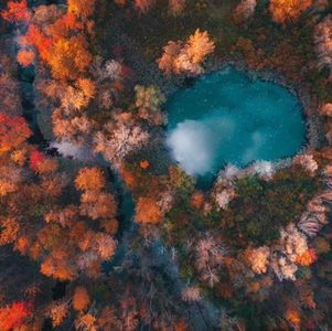 我的加拿大移民生活：03