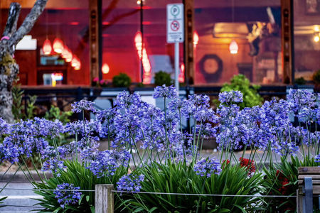 认知的层级，取决于你的知识储备