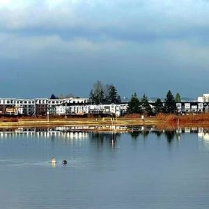 新年前的顿悟治愈了我的等人焦虑症