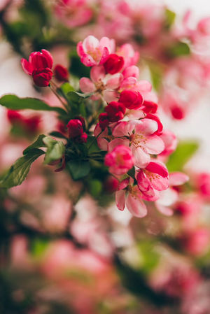 怎样遇事才能不往心里去