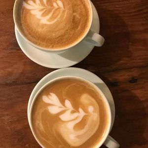 错过的都不重要，重要的是尽量不要再错过