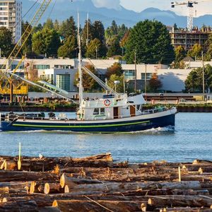 关于恋爱婚姻的非经验建议