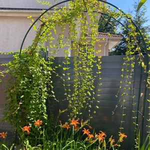 跟着小钟看世界，发现“意义”