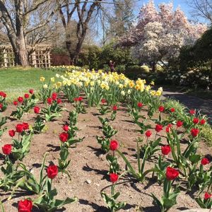 朋友圈决定你的发展，想要优秀，要和优秀的人在一起