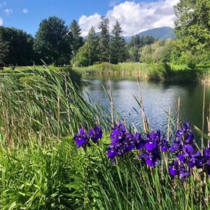 不要惧怕未知，迈步向前努力耕耘，总会越来越好
