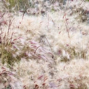 相见时难别亦难，移民如何处理亲友情