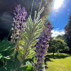 在我看来，加拿大生活最大的特点是什么？