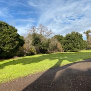 英语，英语，还是英语