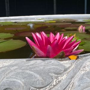 加拿大医务人员短缺和十年级怎样选课