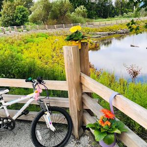 是在原地耗着，还是换个地方重新开钓？