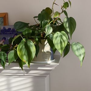 我的加拿大移民生活：04