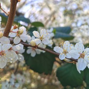 喂饱孩子的心，避免留隐患