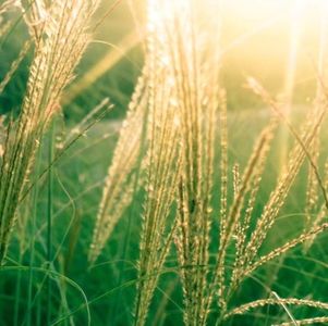 不要让孩子输在起跑线上——起跑线在哪里