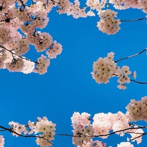 我的加拿大移民生活：02