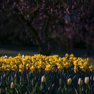 要么主动参与，要么被动被边缘化