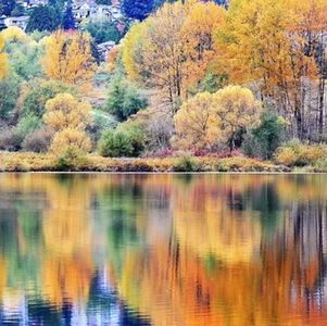 灵魂拷问：为什么我要移民？