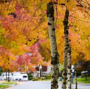 如何督促孩子尽早实现人生目标，树立什么样的目标