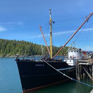 探寻“华人加拿大首登点”之旅