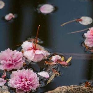 生命的快乐在于体验和成长