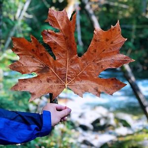 不要把他人的“特点”当做“缺点”，日子立即顺畅许多