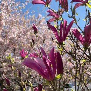 有规划的人生不荒芜