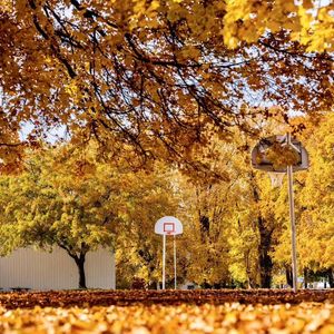 收拾家过程中总结出的如何培养孩子之经验二三