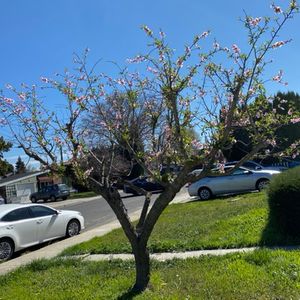 我有三个手机，看到的消息却不一样