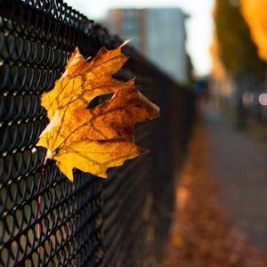 不怕拖延，不要气馁，你也有自己的幸运药水