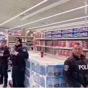 COSTCO厕纸已经由警察守卫了，海外华人过得究竟怎样