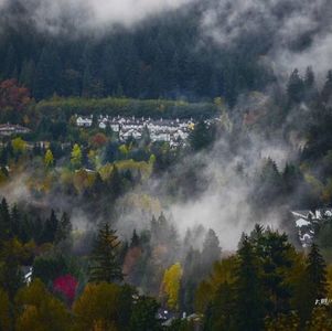 加拿大网购是什么感受