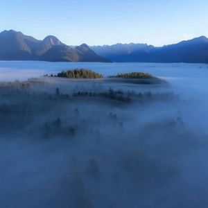 巴以冲突中的“站队茧房”及新移民安全必知