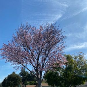我的故事告诉您，不要给自己设限是移民道路上的第一步