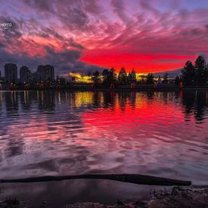 参加了一场英文会议，感受到良好的团队合作