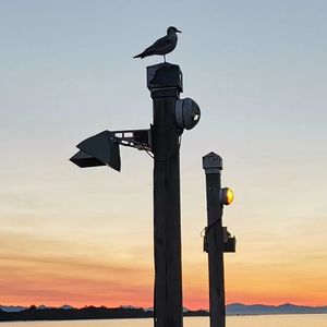 如何与青春期的孩子斗智斗勇