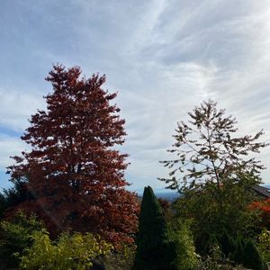 我的加拿大移民生活05