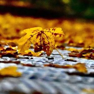 《世明》：这个世界时常没有那么光明