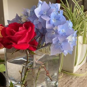 “人生不相见，动如参与商”，活在当下，怜取眼前