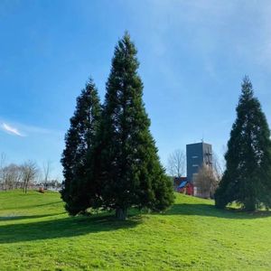 加拿大今年失业率如何？留学生怎样找工作？