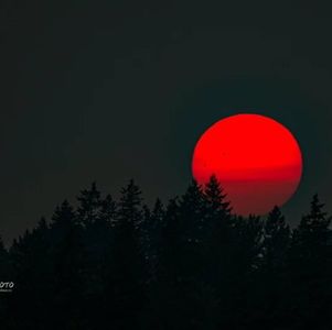 从日本核废水排放看信息茧房