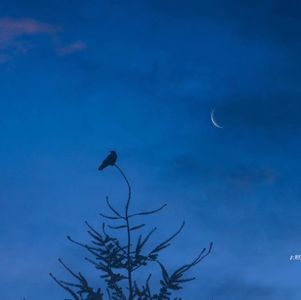 敢于发现并承认不足，才是好同志